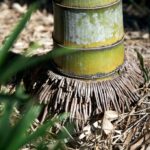 Come eliminare il bambù dal terreno in modo definitivo